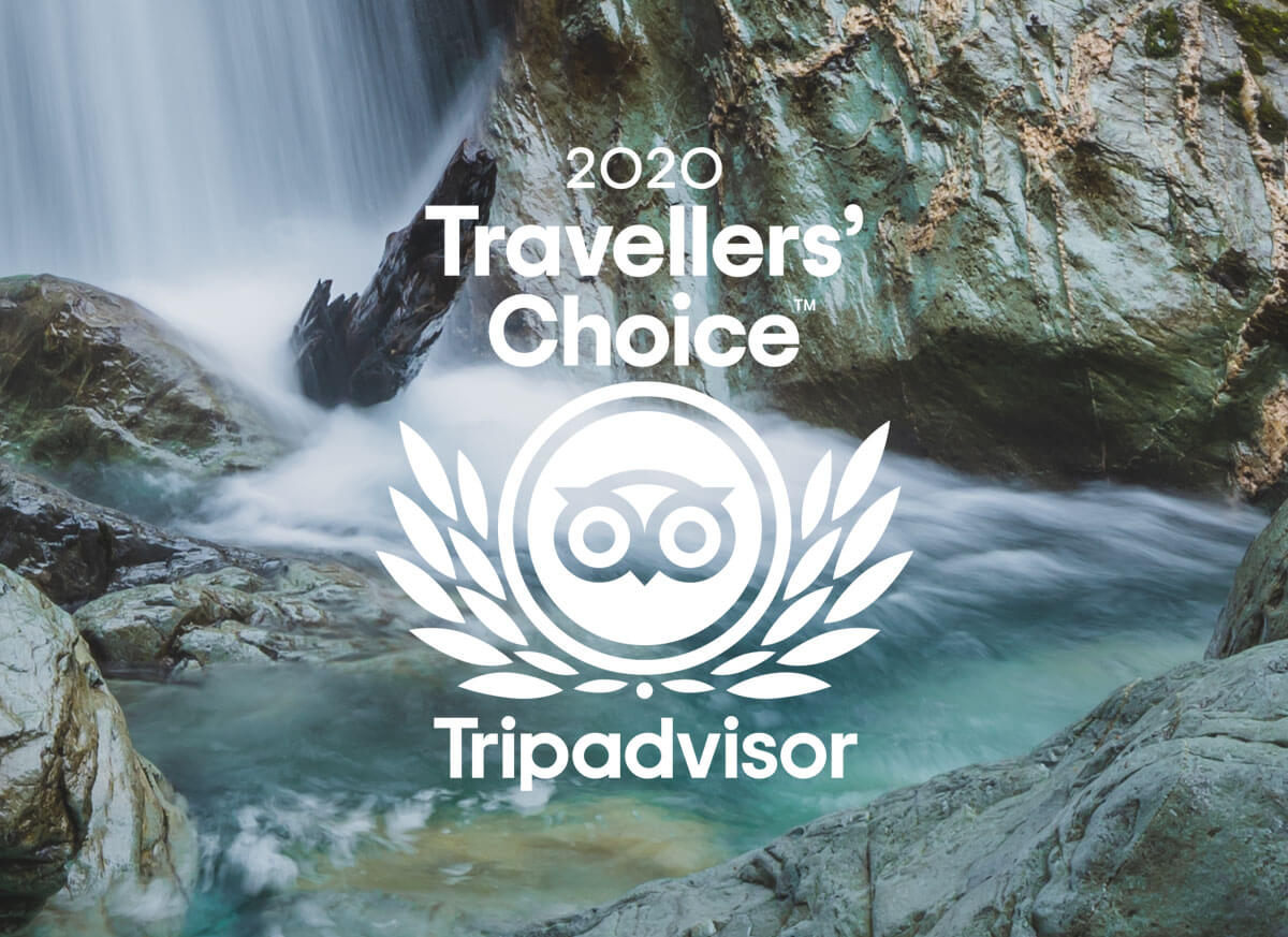 travellers choice excursions